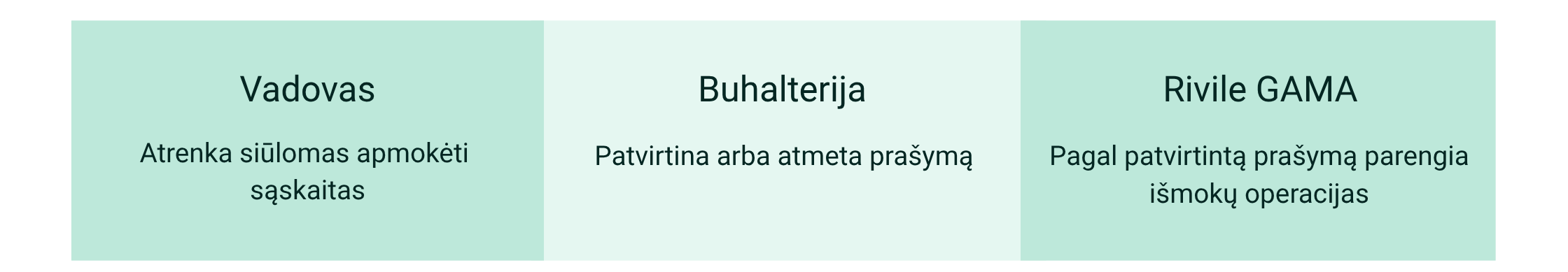 Vadovas pateikia buhalterijai apmokėjimo prašymą